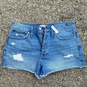 Madewell Relaxed Denim Shorts in Homecrest Wash: Ripped Edition Size 30